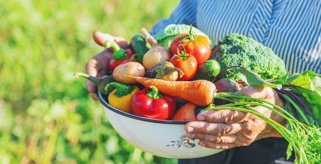 yummysnacks Catering